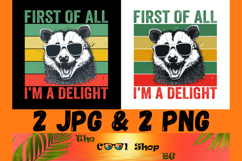 First Of All I&#039;m A Delight Sarcastic Png, Funny Possum Png Product Image 1