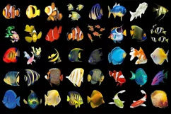 300 TROPICAL FISH TRANSPARENT PNG FILES, PHOTOSHOP OVERLAYS Product Image 8