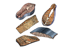 fish fillet set sketch hand drawn Product Image 1