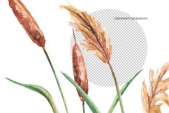 Watercolor Fishing Gnomes Png clipart, digital clipart Product Image 3