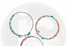 Fishing Rods Svg | Fishing Pole Monogram Frames Svg Product Image 2