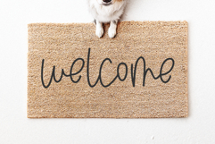 Jasmine Sugar - Modern Script Font Product Image 7