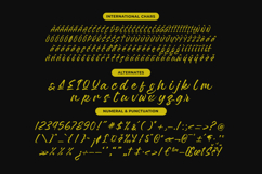 Flackin Bruska Modern Brush Font Product Image 13