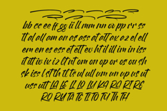 Flackin Bruska Modern Brush Font Product Image 14