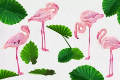 Flamingo and Tropic Leaves Brushes for Photoshop, Procreate Product Image 2