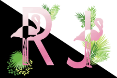 pink, blank, palm, isolated, white background, cute, scrapbook, summer, clip art, empty, monogram, embellishments, leaves, composition, alpha, bird, design, latin, tag, graphic, stencil, element, grunge, abc, scraps, black, retro, banner, abstract, label,