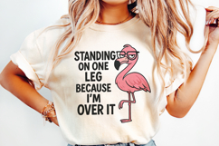 Sarcastic Flamingo PNG, Sublimation Design. Product Image 2