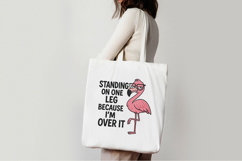 Sarcastic Flamingo PNG, Sublimation Design. Product Image 3