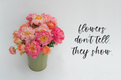 Flashing Script Product Image 4