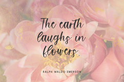 Flashing Script Product Image 9