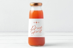 Flatter Sagitha - Stylish Handwritten Font Product Image 14