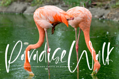 Flesmingo Product Image 10