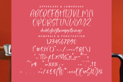 Flesmingo Product Image 13