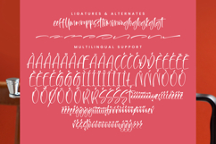 Flesmingo Product Image 14