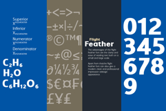 Flight Feather Product Image 11