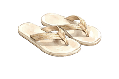 Flip Flops Png | Travel Png Product Image 1