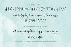 Flirty Script Product Image 10