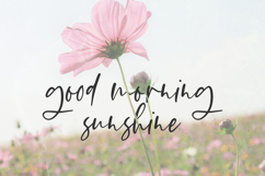 Flirty Script Product Image 2