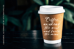 Floating Journey - Stylish Handwritten Font Product Image 15