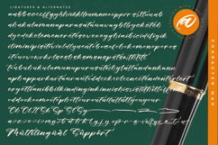 Floating Journey - Stylish Handwritten Font Product Image 19