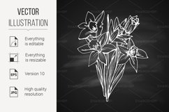 Narcissus Product Image 1