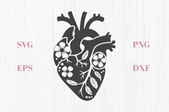 Anatomical floral heart SVG Product Image 1