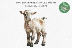 Floral Baby Goat Farm Animals Clipart PNG Scrapbooking Image Nursery Watercolor  Transparent Print invitation shirt designs sublimation kids printable digital watercolor baby Goat floral, flowers wreath clipart, sublimation nursery drawing, farm animals