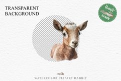 Floral Baby Goat Farm Animals Clipart PNG Scrapbooking Image Nursery Watercolor  Transparent Print invitation shirt designs sublimation kids printable digital watercolor baby Goat floral, flowers wreath clipart, sublimation nursery drawing, farm animals