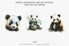 watercolor floral baby Panda, scrapbooking clipart, sublimation nursery drawing, forest animals Floral Baby Panda Animals Clipart PNG Scrapbooking Nursery art Image Watercolor  Transparent Print invitation shirt designs sublimation kids printable digital