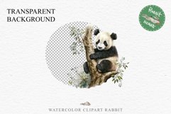 Floral Baby Panda Animals Clipart PNG Scrapbooking Nursery art Image Watercolor  Transparent Print invitation shirt designs sublimation kids printable digital watercolor floral baby Panda, scrapbooking clipart, sublimation nursery drawing, forest animals
