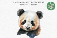 Floral Baby Panda Animals Clipart PNG Scrapbooking Nursery art Image Watercolor  Transparent Print invitation shirt designs sublimation kids printable digital watercolor floral baby Panda, scrapbooking clipart, sublimation nursery drawing, forest animals