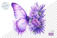 Floral Butterfly Png , Flying Butterflies Illustrations 12 Product Image 1