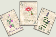 Vintage Style Botanical Cards Product Image 3
