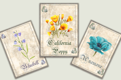 Vintage Style Botanical Cards Product Image 2