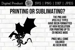Floral Dragon Digital Files features dragon with wildflowers inside the silhouette.  Directions given for using png or jpeg in printing and sublimation projects