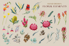 Australia Flora and Fauna Hand Drawn Illustration Set Product Image 23