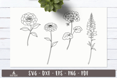 Floral Garden SVG Line art designs