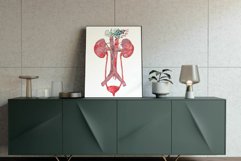 Watercolor Floral anatomical urinary tract system graphic. Product Image 8