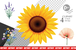 Minimalist Florals Clipart Product Image 1