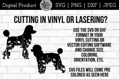 Floral Poodle Dog SVG Digital Files features two different poodle dog designs with wildflowers inside the dog silhouette.  Directions given for cutting SVG and DXF in vinyl