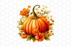 Floral Watercolor Fall Pumpkin Cliparts
