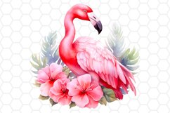 Floral Watercolor Flamingo Sublimation Cliparts