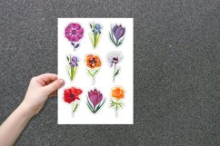 floral watercolor stickers