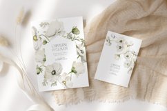 ANEMONES White Flowers Watercolor Collection, Floral Clipart Product Image 4