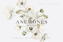 ANEMONES White Flowers Watercolor Collection, Floral Clipart Product Image 1