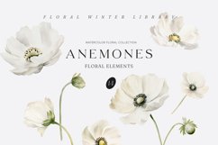 ANEMONES White Flowers Watercolor Collection, Floral Clipart Product Image 5