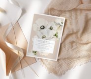 ANEMONES White Flowers Watercolor Collection, Floral Clipart Product Image 2