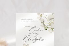 ANEMONES White Flowers Watercolor Collection, Floral Clipart Product Image 7