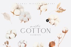 Watercolor Cotton Clipart, Watercolor Winter Floral Clipart Product Image 3