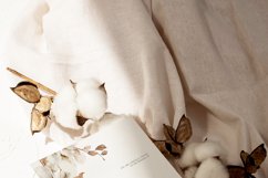 Watercolor Cotton Clipart, Watercolor Winter Floral Clipart Product Image 2